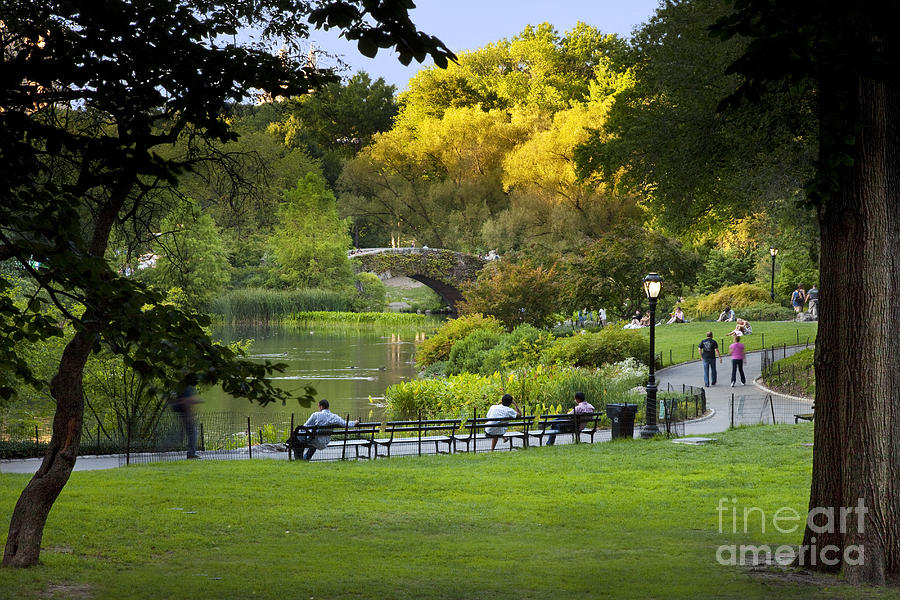 Evening in Central Park Photograph by Brian Jannsen