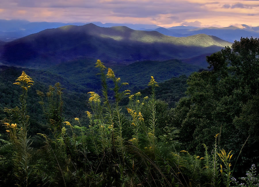 Evening in the Smoky Mountains Photograph by Carol Eade