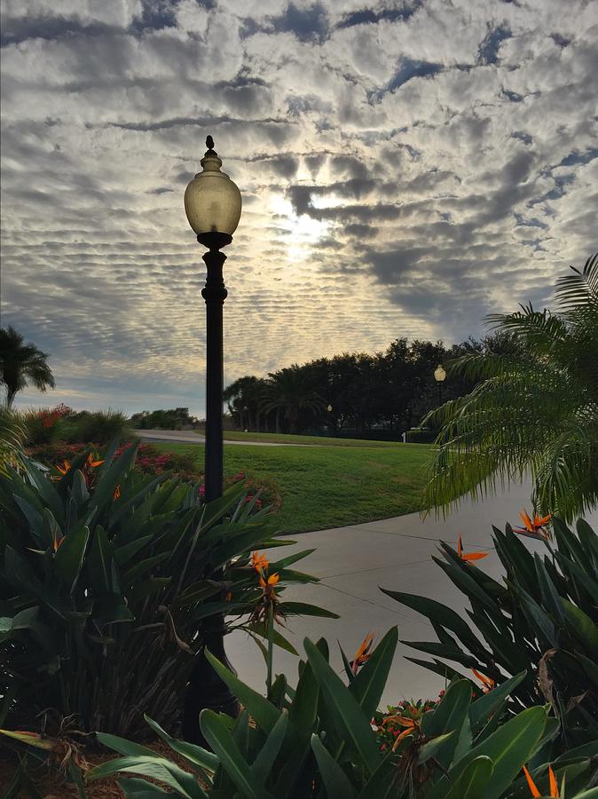 Evening in Venice FL Photograph by Pat Moore