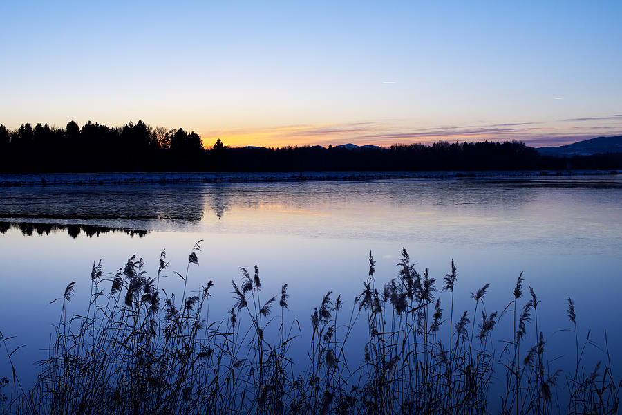 Evening lake Photograph by Ivan Slosar