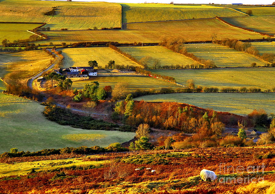 Evening Landscape in County Durham Photograph by Martyn Arnold