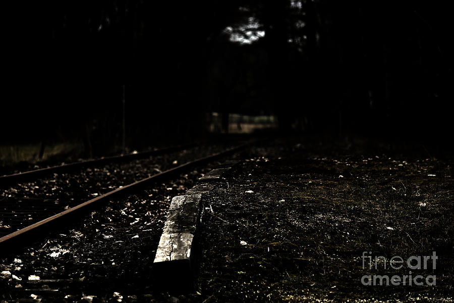 Landscape Photograph - Evening light at a train track by Four Hands Art