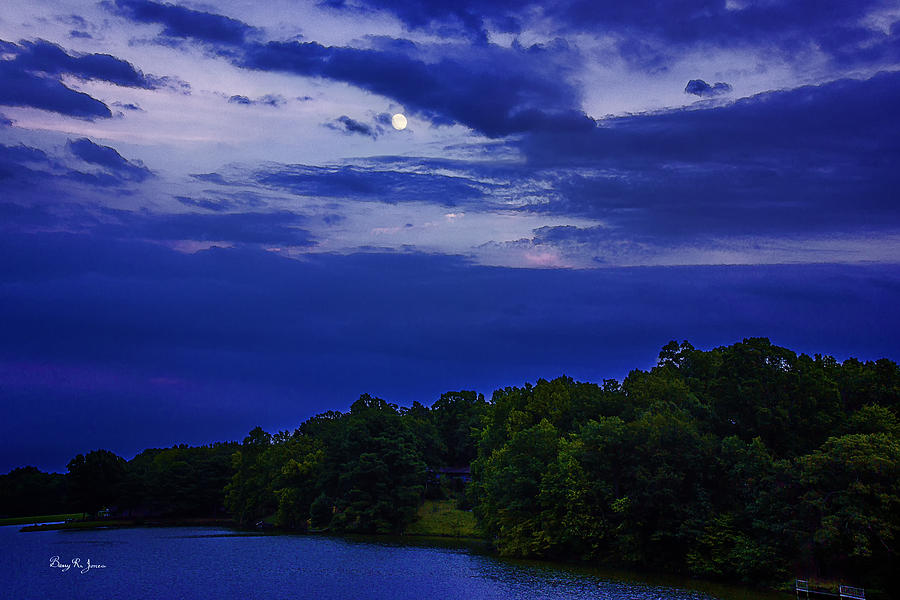 Tree Photograph - Evening Moon by Barry Jones