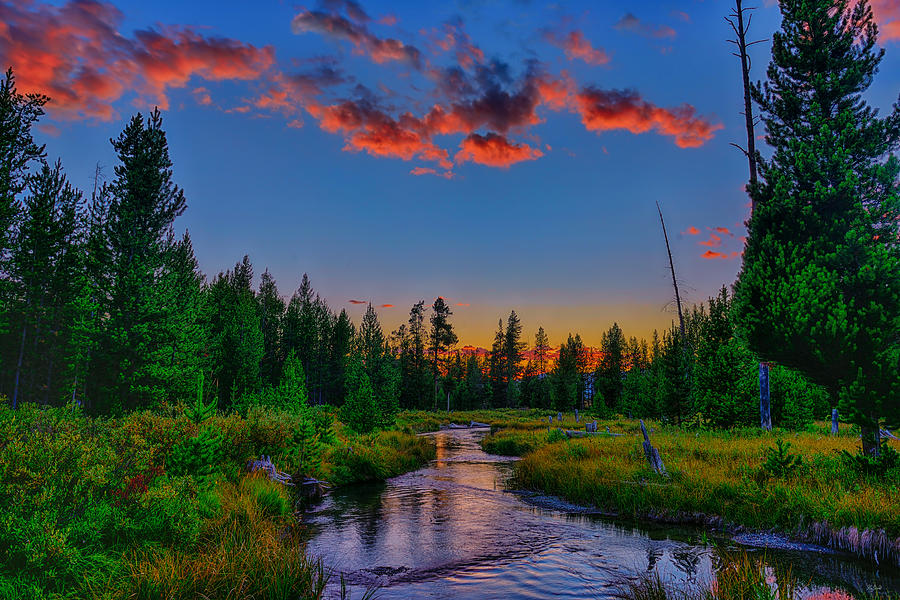 Nature Photograph - Evening On Lucky Dog Creek by Greg Norrell