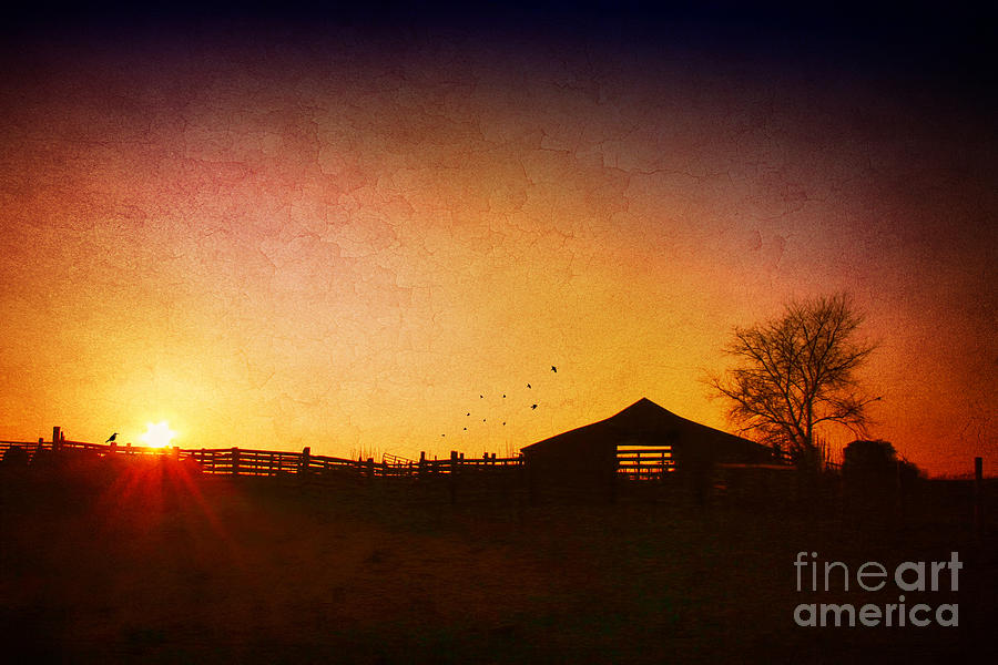 Barn Photograph - Evening on the Farm by Darren Fisher