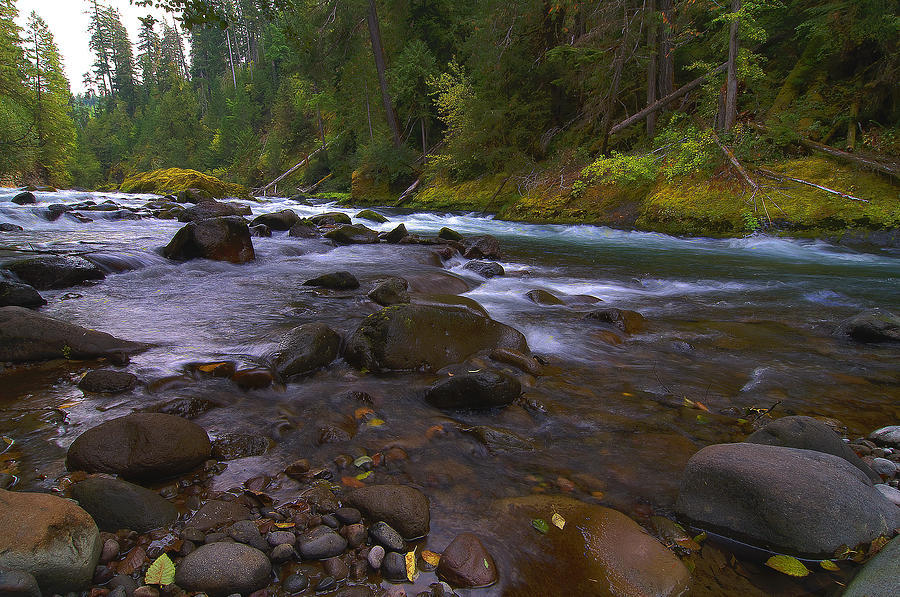 Evening on the Santiam River Photograph by Larry Goss