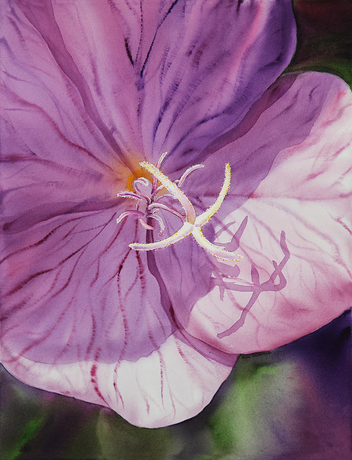 Evening Primrose Flower Painting by Irina Sztukowski