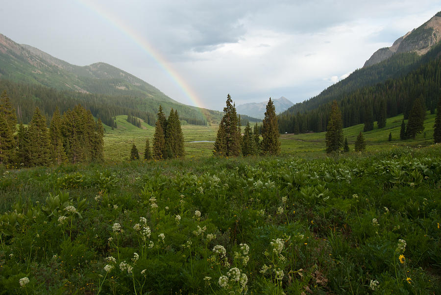 Evening Rainbow In The Rocky Mountains Photograph