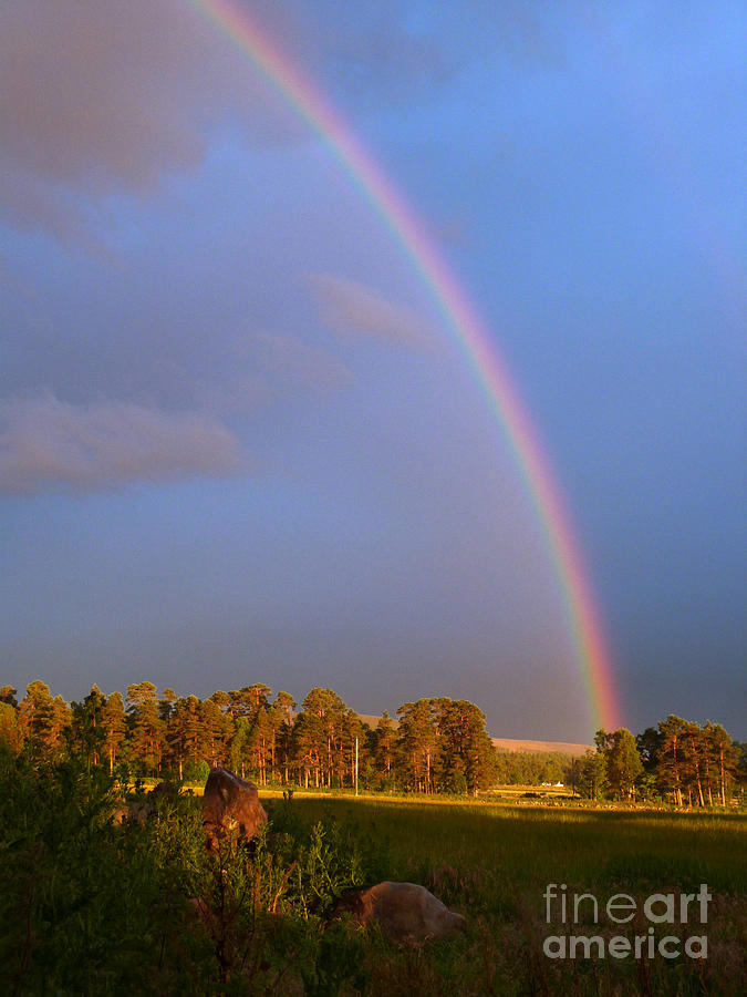 Evening Rainbow Photograph by Phil Banks