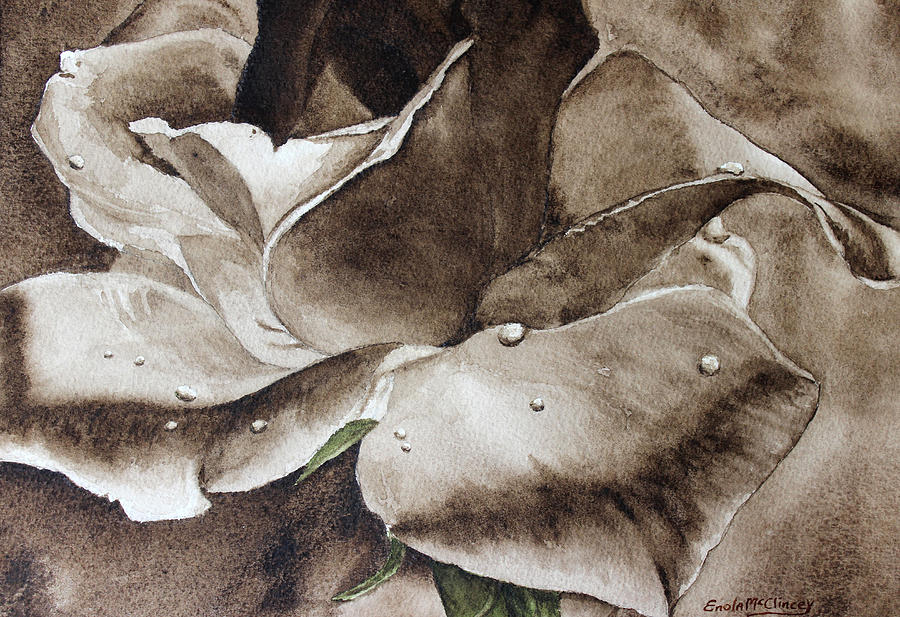 Watercolor Paintings Painting - Evening Rose by Enola McClincey Watercolor Paintings Painting - Evening Rose by Enola McClincey