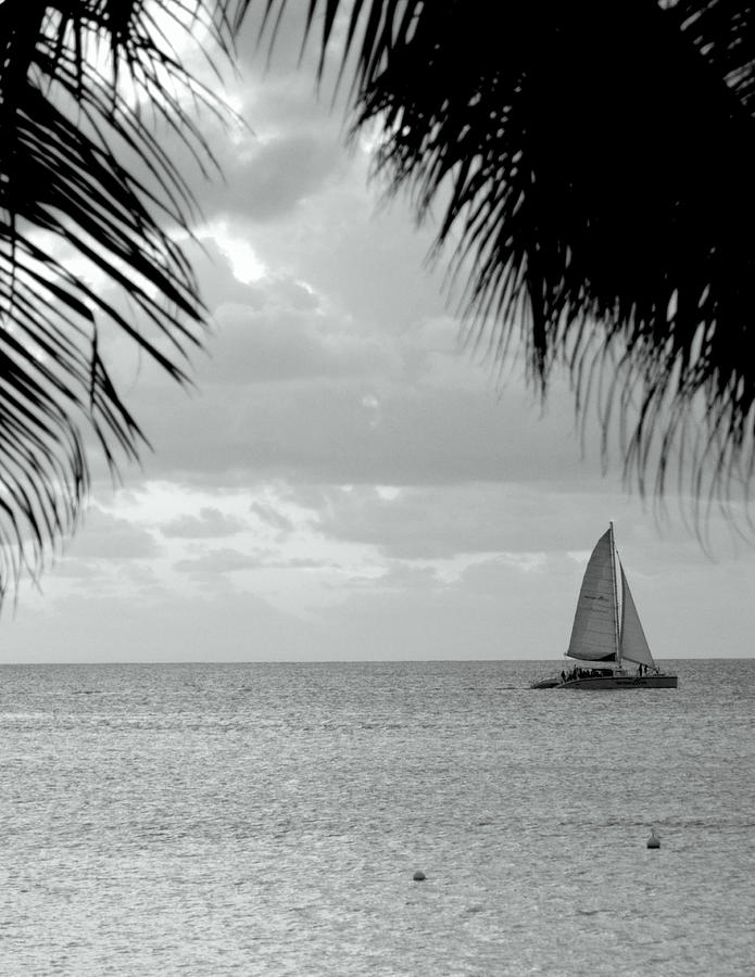 Beach Photograph - Evening Sail in Paradise by Caroline Stella