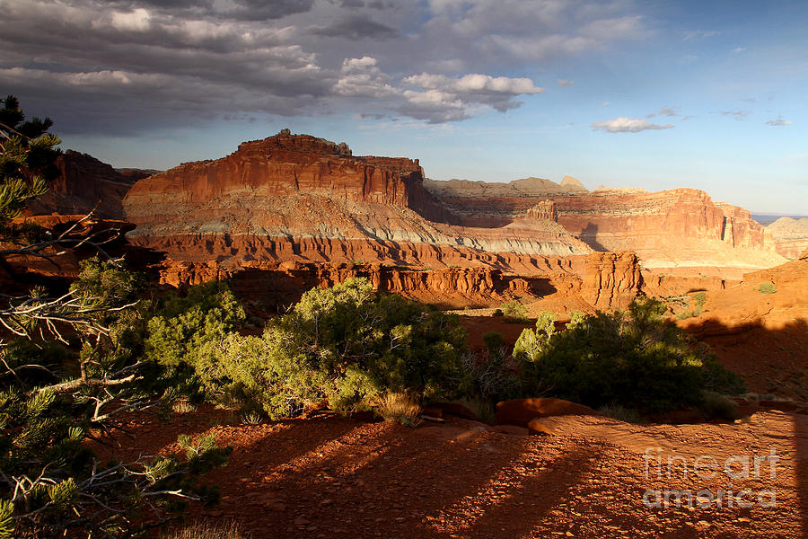 Evening Shadows Capitol Reef National Park Photograph by Butch Lombardi