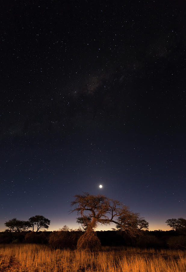 Evening Sky Above The Kalahari, Namibia Photograph by Siegfried Layda
