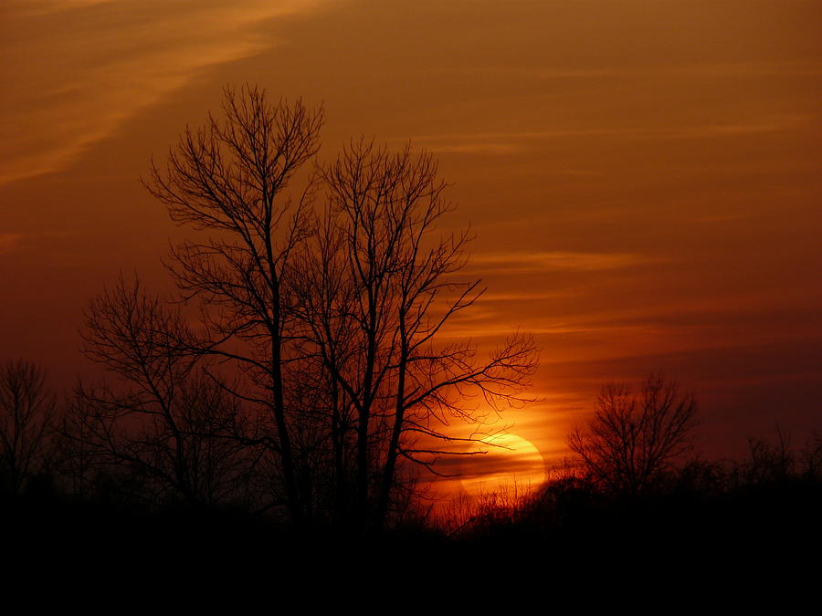 Sunset Photograph - Evening Sky by Elizabeth Holland