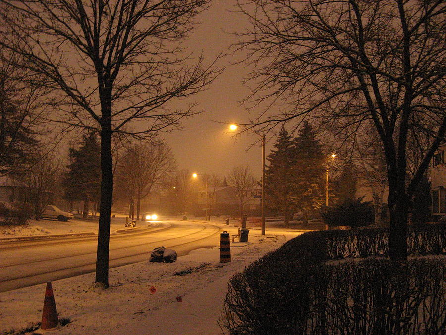 Winter Photograph - Evening Snow by Alfred Ng