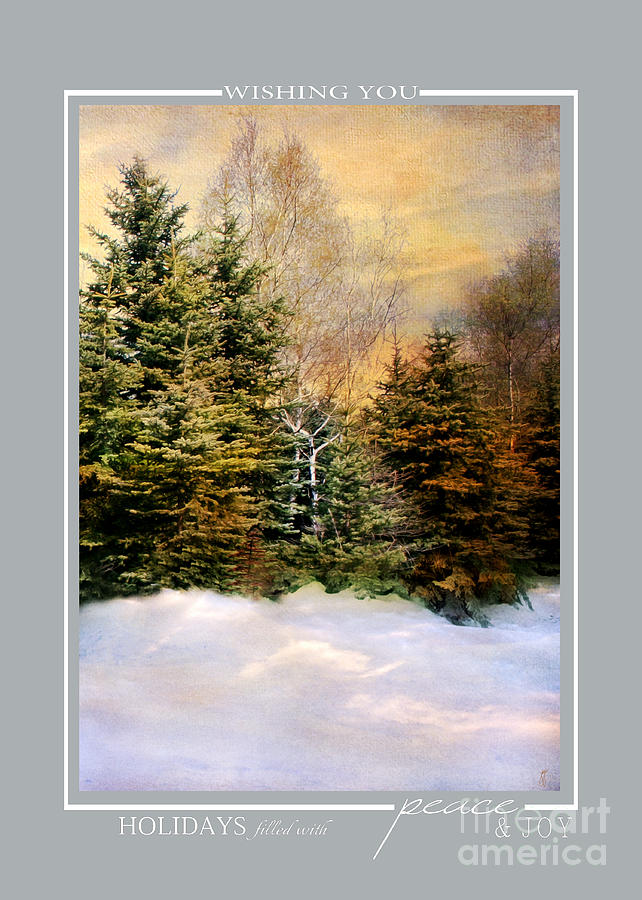 Evening Snow Winter Landscape Christmas Cards Photograph by Jai Johnson