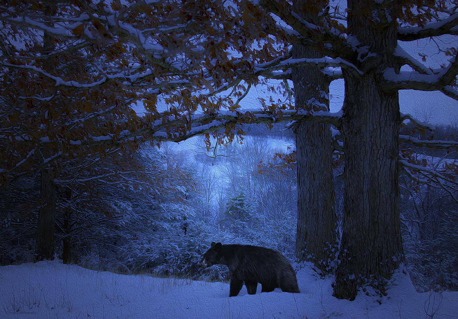 Winter Photograph - Evening Stroll by Ron Jones