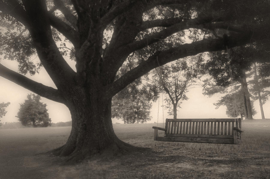 Evening Swing - Oak Tree - Altus Arkansas Photograph by Jason Politte