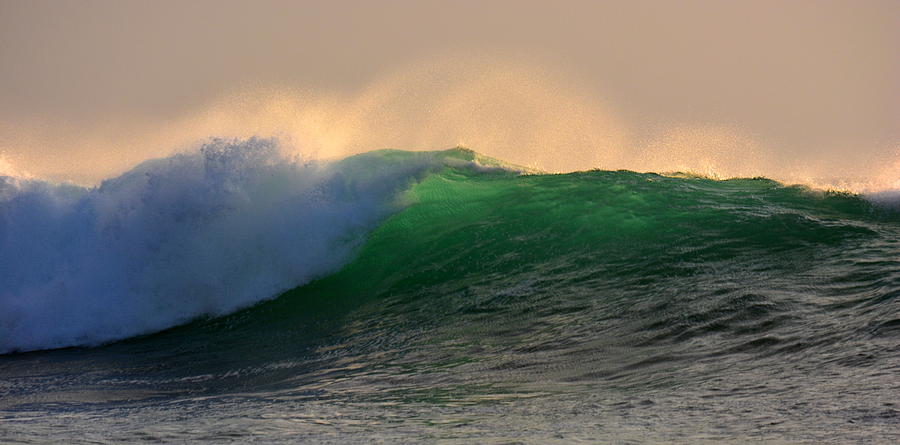 Evening Wave Photograph by Lori Seaman