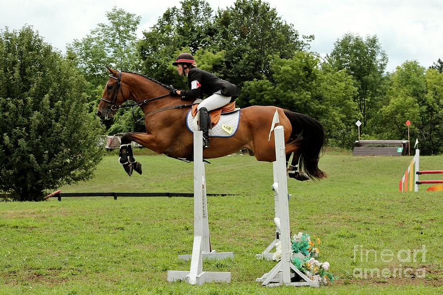 Eventing Jumper Photograph by Janice Byer