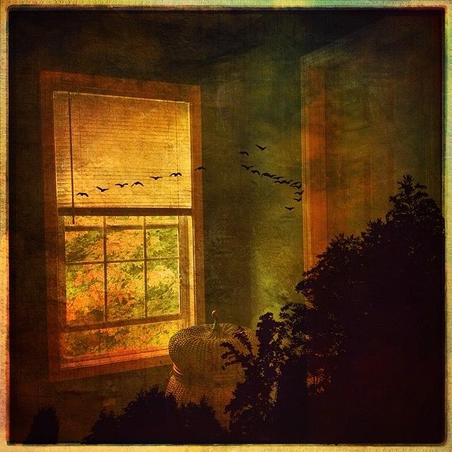 Hipstamatic Photograph - Eventual Simultaneity by Paul Cutright