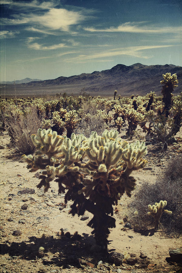 Joshua Tree National Park Photograph - Eventually by Laurie Search