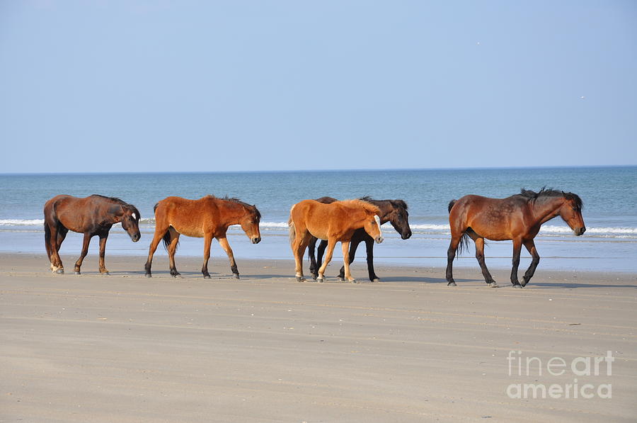 Ever Forward Photograph by Christina McKinney Fine Art America