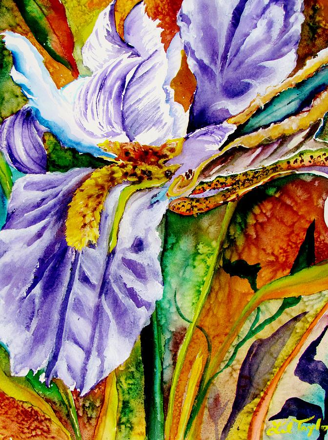 Everblooming Florida Iris Painting by Lil Taylor - Fine Art America
