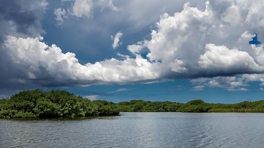Nature Photograph - Everglades 0254 by Rudy Umans
