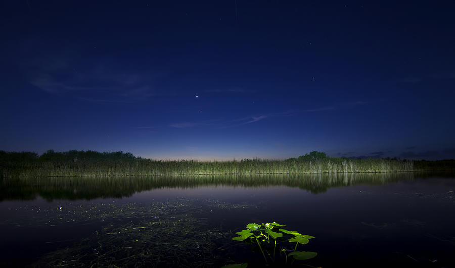 Everglades By Night Photograph