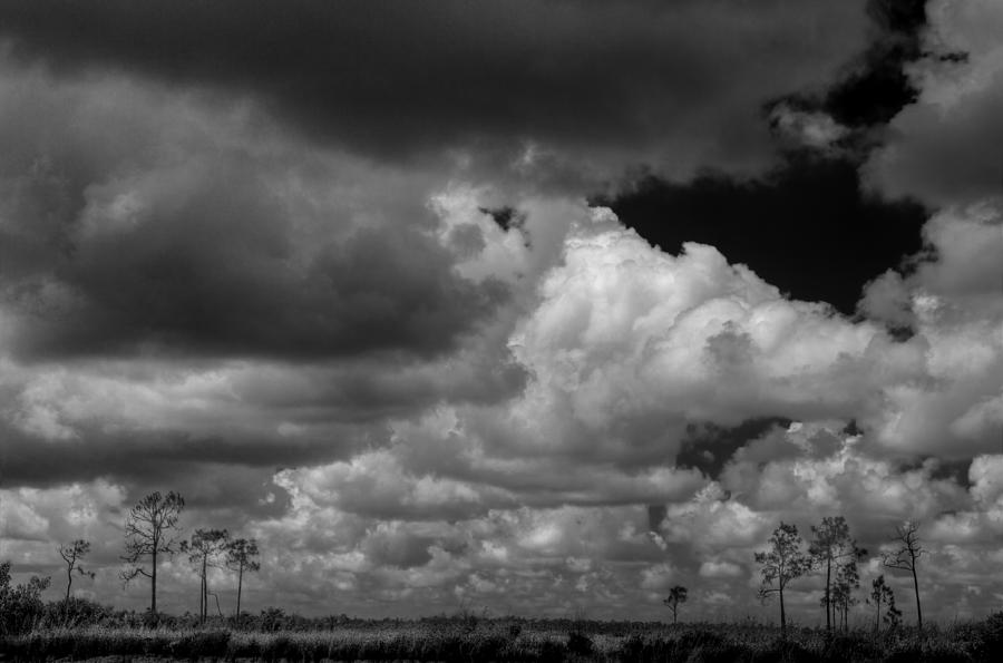 Everglades clouds 6873 BW Photograph by Rudy Umans