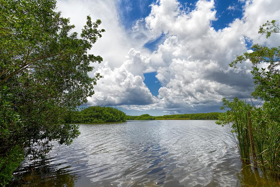 Nature Photograph - Everglades Lake - 0278 by Rudy Umans