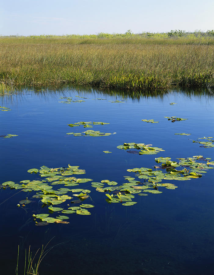 Everglades National Park Photograph by James Steinberg