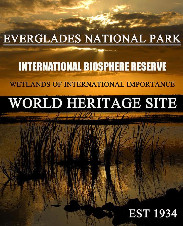Everglades NP poster A Photograph by David Lee Thompson