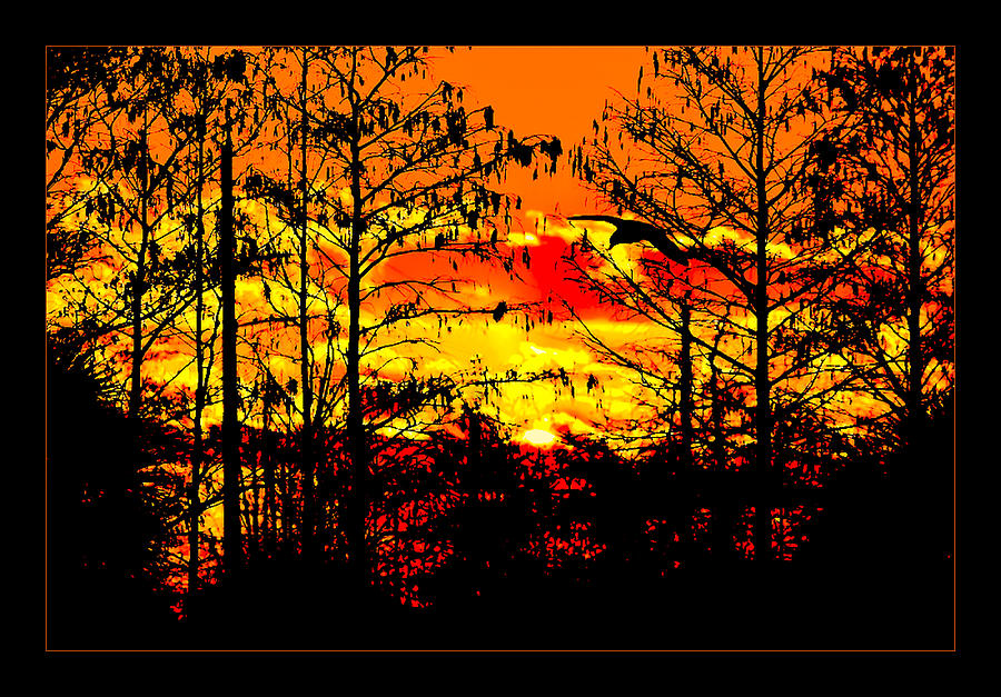 Everglades on Fire Photograph by Jody Lane