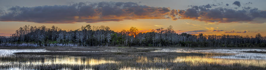 Everglades Panorama Photograph by Debra and Dave Vanderlaan