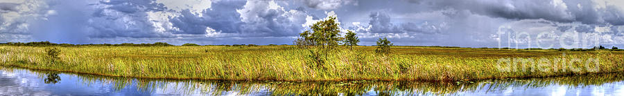 Nature Photograph - Everglades Panorama by Dieter  Lesche