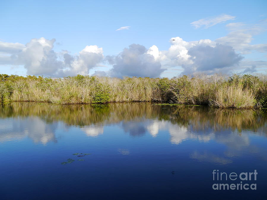 Everglades Serenity Photograph by Christiane Schulze Art And Photography