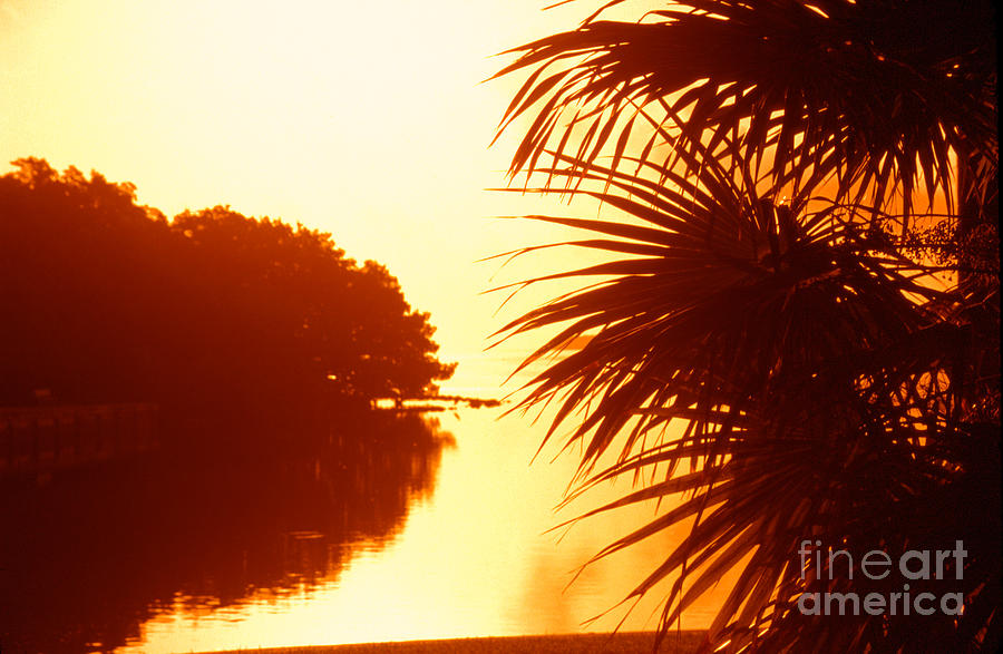 Everglades Sunrise Photograph by Thomas R Fletcher