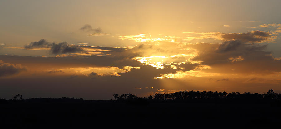 Everglades Sunset Photograph by Jean Clark