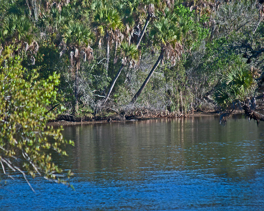Everglades Wat 161 Photograph by Gordon Sarti