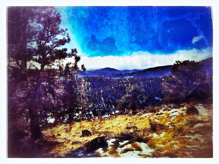 Evergreen Colorado Digital Art by Dan Miller