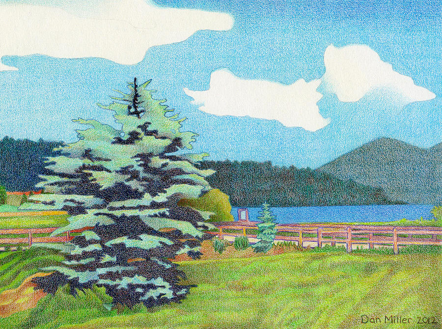 Evergreen Lake Summer Drawing by Dan Miller