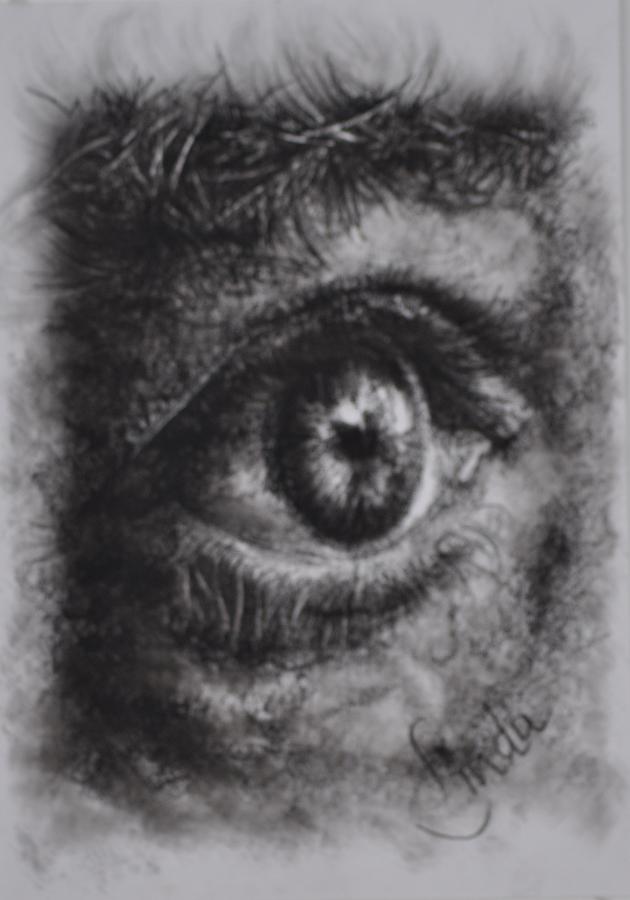 Every eye tells its own story Drawing by Linda Ferreira