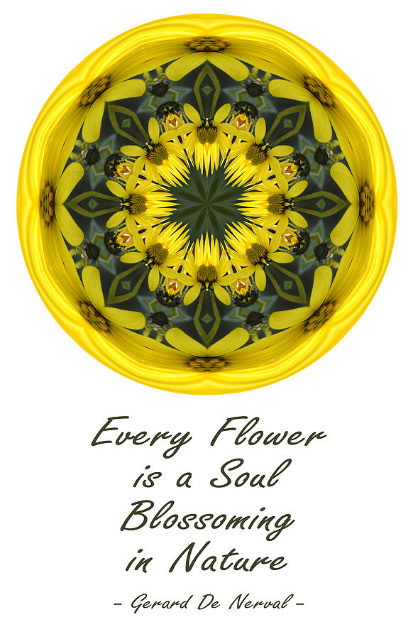 Every Flower is a Soul Mandala Photograph by Beth Venner