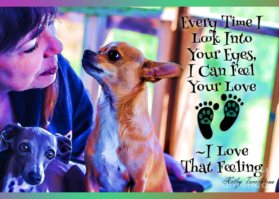 Dog Lover Digital Art - Every Time I Look Into Your Eyes by Kathy Tarochione