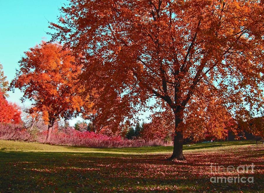 Fall Photograph - Every Year I Miss Autumn After It Is Over by Adri Turner