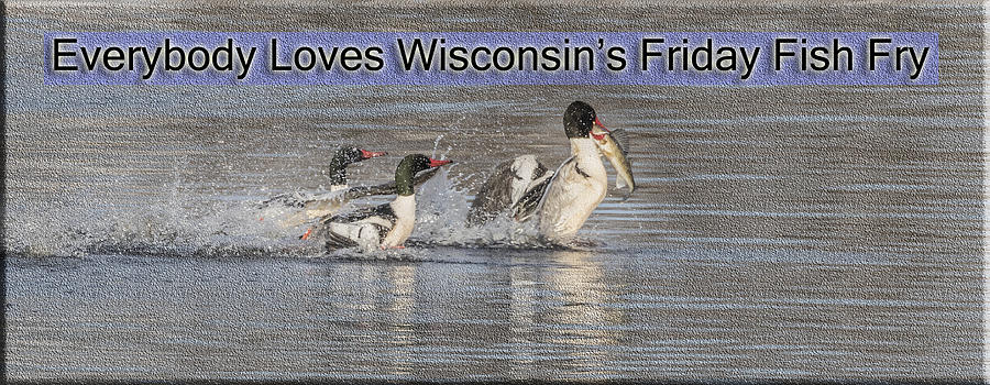 Everybody Loves Wisconsins Friday Fish Fry Photograph by Thomas Young