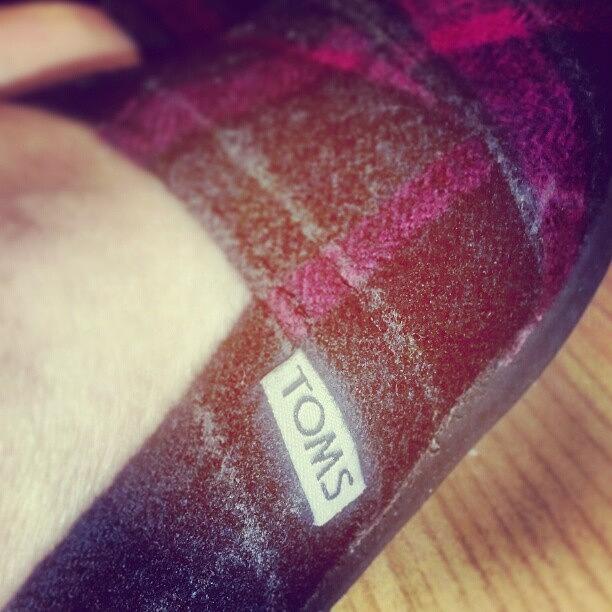 Toms Photograph - Everybody Should Own A Pair Of #toms by Lani Lloyd