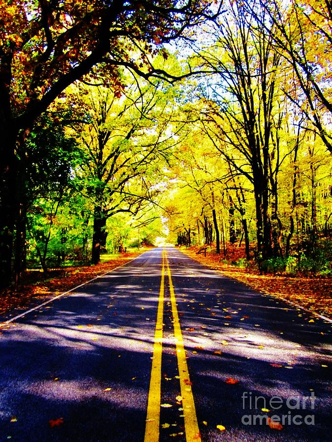Fall Photograph - Everyday is a Winding Road by Kayla Giampaolo